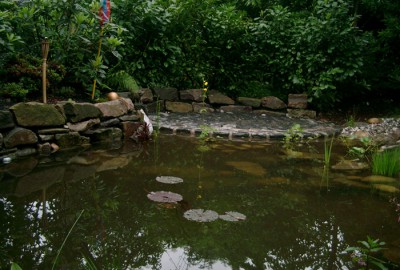 Wasser Teich Gartenbau Landschaftsbau Erftstadt Köln